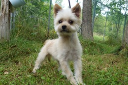 そ おはぎ 新1歳