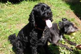 さ　しょう　９・１→９・４