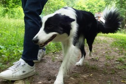 つ　エマ　7.4→7.12