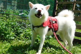 に　つらら6.24→6.25