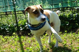 や　マル　8.23→8.28