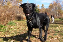 に　ブリンクリー　１０・２９→１１・２８