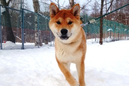 な　ちょろ太　新６か月