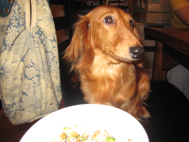犬の食事 またまた いいかげんになりそうでごめん 犬の食事 手作り犬ごはん