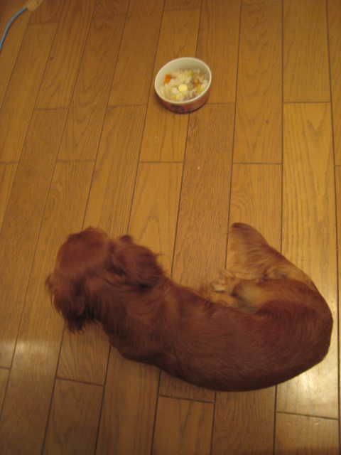 犬の食事 手抜き犬の食事 犬の食事 手作り犬ごはん