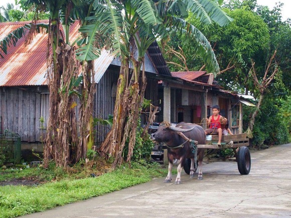 【唖然】「夫と一緒に2人◯した」 →おばが語った内容がガチでヤバすぎる・・・・・・・