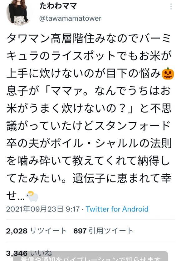 朗報 大人気歌い手 まふまふさん 紅白出場確定ｗｗｗｗｗｗｗｗ なんjクエスト
