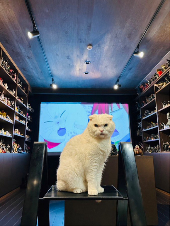 【画像あり】　矢吹健太朗のアニメ視聴専用の部屋が凄いｗｗｗｗｗｗｗｗ