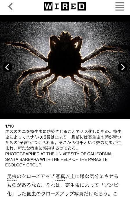 悲報 カニを生で食べた女性 体内から10種類の寄生虫 なんjクエスト