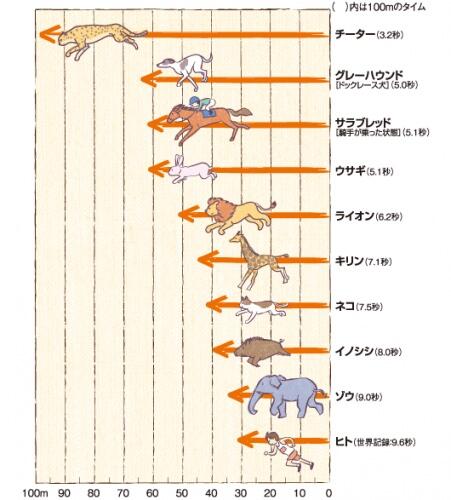 【悲報】　ヒトカス「うおおおお！」→9.6秒　キリン「キリーンｗ」→7.1秒