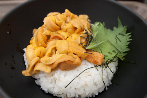 【悲報】うに、寿司で一番嫌われていた・・・