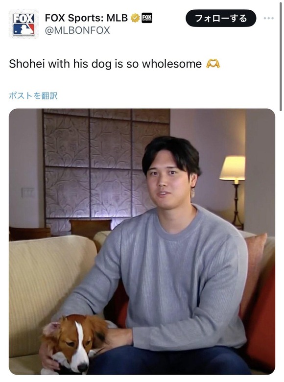 【朗報】　大谷翔平、犬派だった