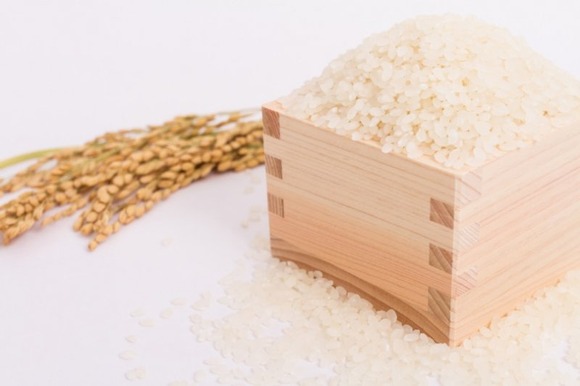 【悲報】2024年の新米40%値上げへ！ありがとう農家の皆さん！