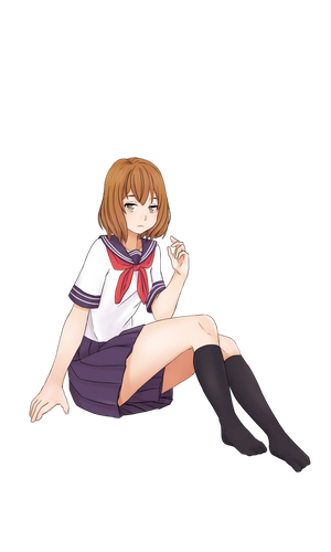 【非道】54歳男「パンツ見えた！もっとはっきり見たい！」10代女性を転倒させ開脚させて逮捕