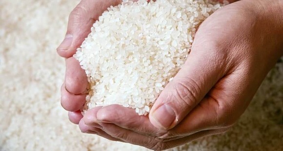 【悲報】米卸「高値で集めたのに誰も買わん！国が買い取れや！！」