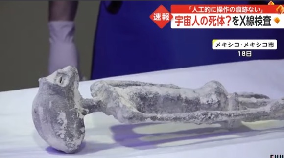 【悲報】現代人さん、メキシコの宇宙人のミイラが「人工的に操作の痕跡はない」というニュースを受け入れられない模様