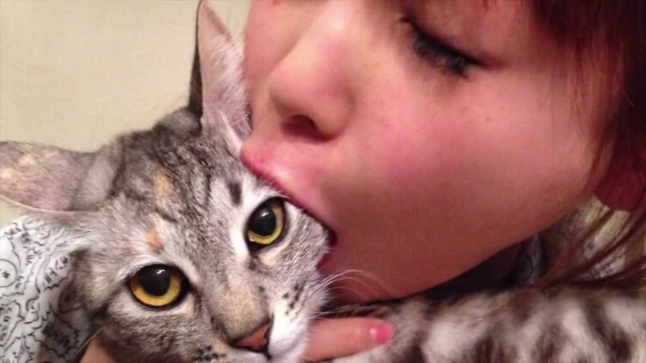 画像 中川翔子さん ウマ娘プレイした後の馬刺しがウマい なんjクエスト