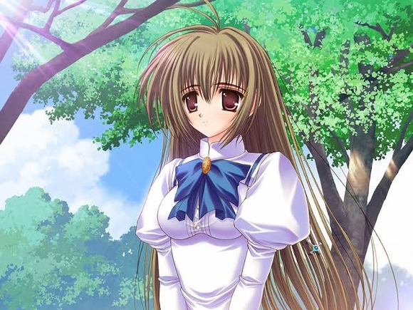 【悲報】外国人「ジャパンのhentaiゲームで主人公が女装して女子校に入学するヤツ、これマジで理解不能」