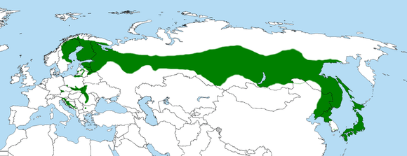 【謎】　フクロウの世界分布、明らかにおかしいｗｗｗｗｗ
