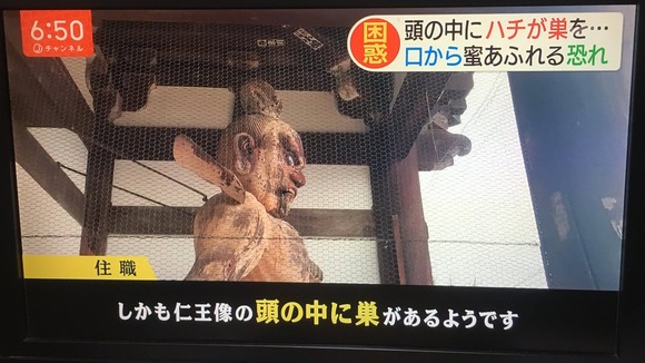 【朗報】ミツバチさん、最高の巣の場所を見つけるｗｗｗｗｗｗｗｗｗ