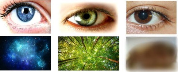 【悲報】4chan民さん、眼の色でマウントを取り合い、ラテン系とその他白人が対立する