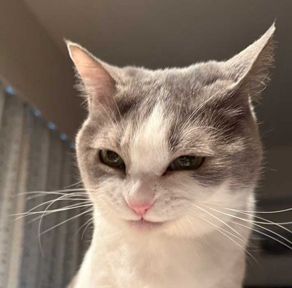 【急募】お前らが人生でした、『1番悪いこと』を挙げてけｗｗｗｗｗｗ