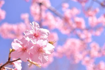 悲報 日本には四季がある 実際wwwwwwwwwww なんjクエスト 悲報 日本には四季がある 実際wwwwwwwwwww なんjクエスト