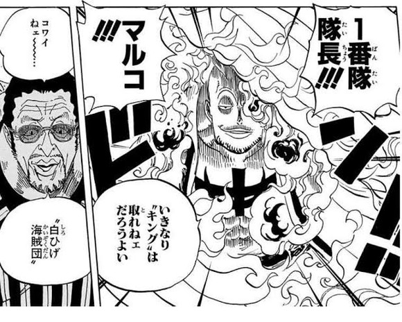 【朗報】　ワンピースの不死鳥マルコという黄猿と互角の四皇幹部ｗｗｗｗｗｗｗｗ