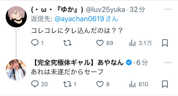 【朗報】YouTuberあやなん「精神病の旦那を裏で陥れようとしたけど未遂だったからセーフ」