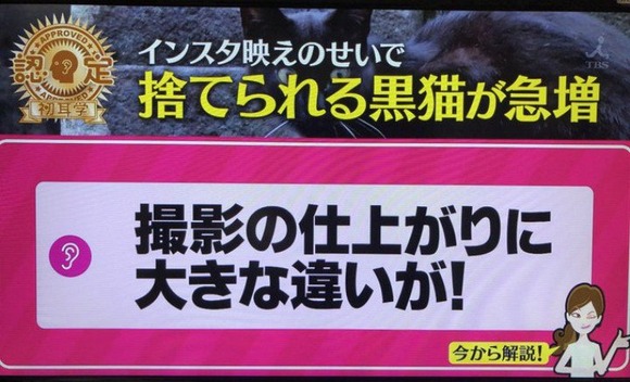 【悲報】 女さん「いらない猫がいたら引き取りますょ！ただし！黒い猫は（インスタ映えしないから）いらないですょ！！！」←これｗｗｗｗｗｗｗｗｗｗｗｗｗｗｗｗ