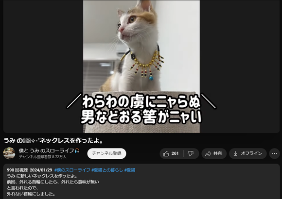 【悲報】猫救出YouTuber、視聴者の指摘に対して斜め上行動をしてしまうｗｗｗｗｗｗ