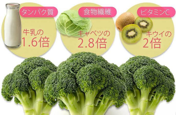 【朗報】ブロッコリー、実はすごい栄養を秘めているｗｗｗｗｗｗｗｗｗ（画像あり