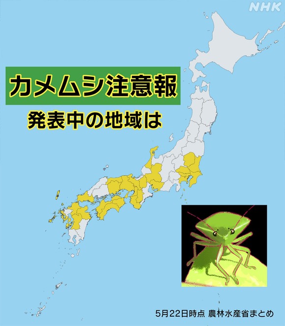 【悲報】カメムシ注意報、26都府県で発令中ｗｗｗｗｗｗｗｗｗｗｗｗｗｗｗｗｗ