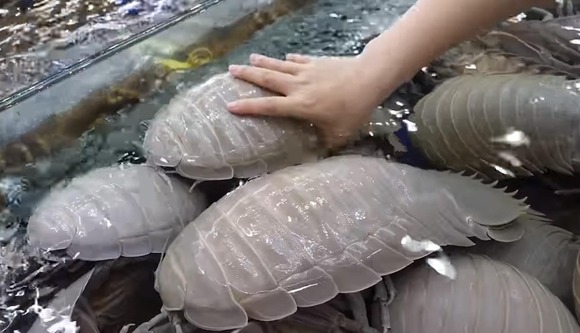 【画像】ベトナム人「うひょー！このエビうまそうやん！」