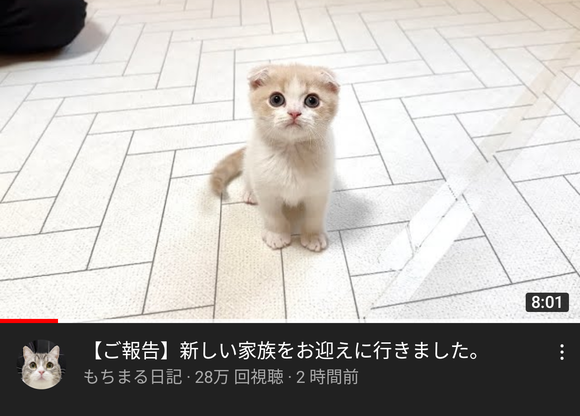 【悲報】　「もちまる日記」、2代目の補充完了してしまうwｗｗｗｗｗｗｗｗｗｗｗ