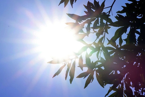 【悲報】日本の広範囲で、この時期10年に一度程度しか起きないような「著しい高温」になる可能性・・・・・