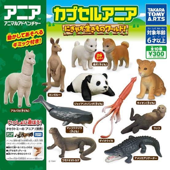 【画像】1番のハズレって、「カンガルー」だよな・・・