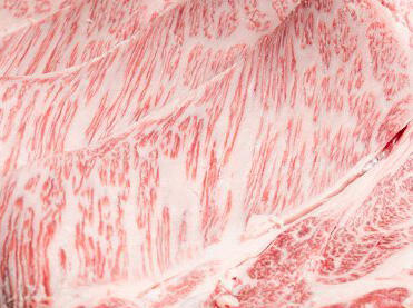 【悲報】　霜降り肉になる牛さん、健康じゃなかった・・・