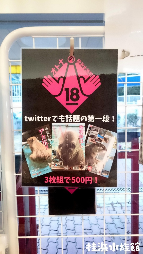 【画像】女性(フェミ)達「いやああああ！！水族館がめちゃくちゃキモいことしてるううううっ！！」←これｗｗｗｗｗｗｗｗｗｗｗｗｗｗｗｗ