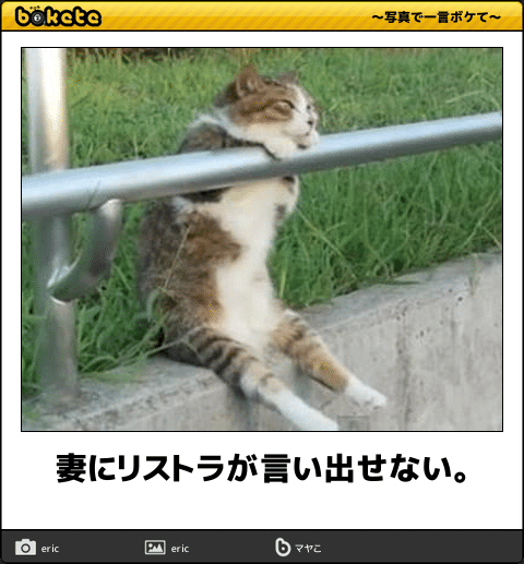 画像 ボケての最高傑作 マジのガチで見つかるｗｗｗｗｗｗｗｗｗ なんjクエスト