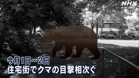 【悲報】クマサン、ガチで市街地に侵略し始める・・・・・・・・・・・・・・・・