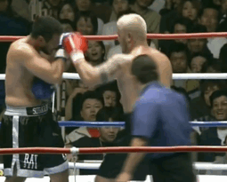 画像 K 1ファイターの体つきwwwwwwww なんjクエスト 画像 K 1ファイターの体つきwwwwwwww なんjクエスト