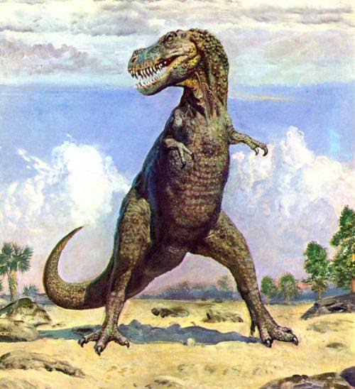 【画像】ティラノサウルスの理想形ってやっぱこのフォルムだよなｗｗｗｗｗｗｗ