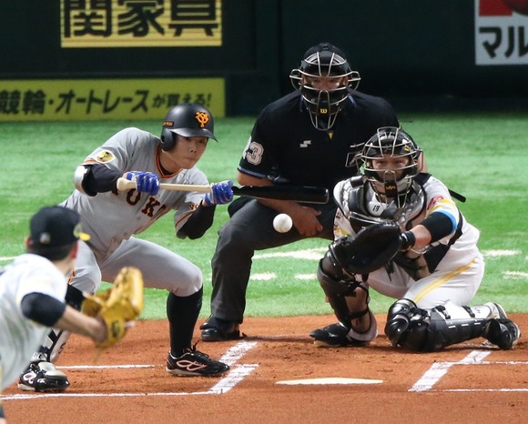 【悲報】阿部巨人、バント処理に時間を割く『地獄のキャンプ』スタートｗｗｗｗｗｗ