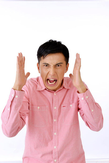 【悲報】ネコ譲渡するで～　※ただし条件有マス ← 厳しすぎるｗｗｗｗｗｗｗ