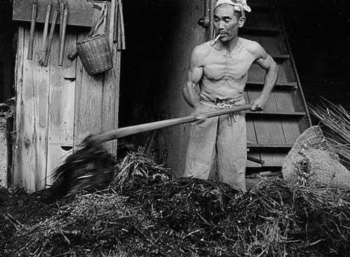 【画像】昔の農民の肉体、ガチで凄すぎるｗｗｗｗｗｗｗｗｗｗｗｗｗｗｗｗ