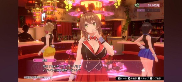 【画像】またSwitchで、えちえちなゲームが発売されようとしてるんだがｗｗｗｗｗｗｗｗ