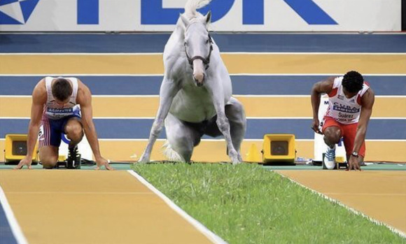 この程度の画像を見てフフッw ってなってしまったら寝ろ