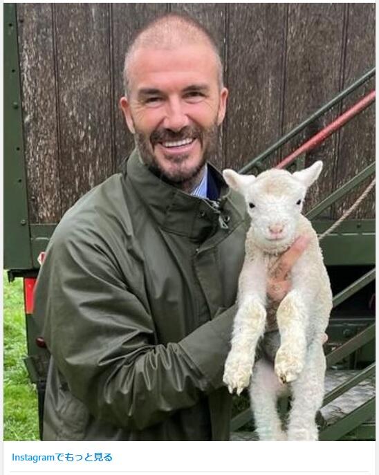 【画像】デビッド・ベッカム｢髪が痩せた(ハゲた)｣ どうせ大したことないんやろｗｗｗｗ←結果・・・