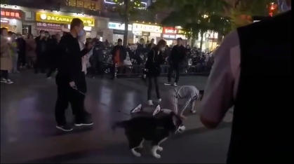 動画 中国にリアル天竜人が現れるwwwwwwwwwwww なんjクエスト 動画 中国にリアル天竜人が現れるwwwwwwwwwwww なんjクエスト